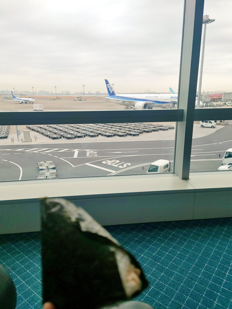 @なると姫@ tweet media