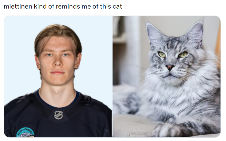 cier ୨୧ tweet media