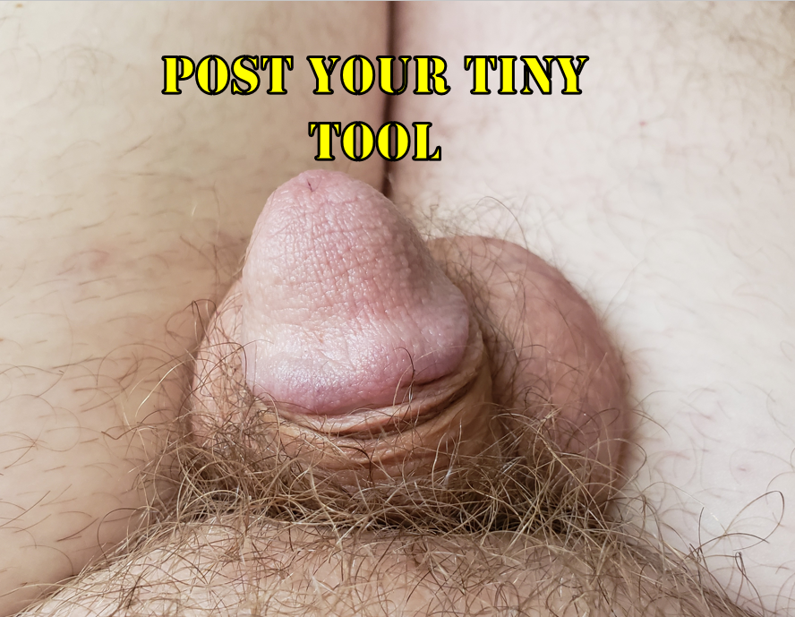 Small Dick World tweet media