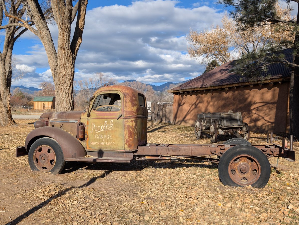 Loralee Logan 🌻🌻🌻 tweet media