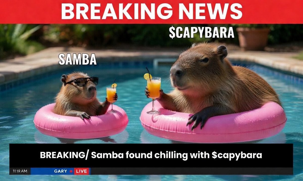 soltastic tweet media