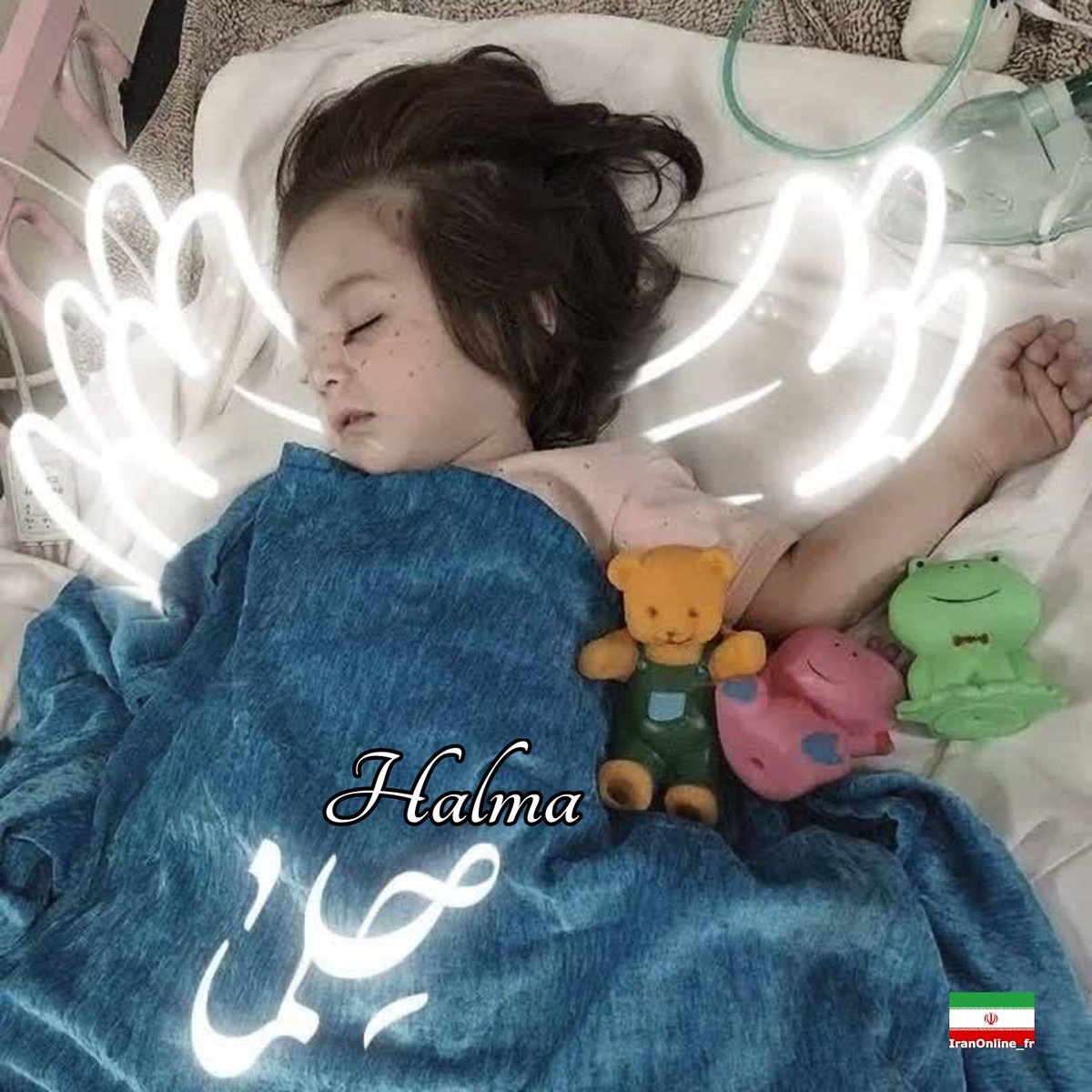 Iran Online tweet media