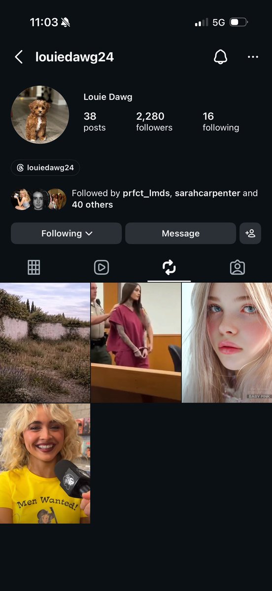 bea 🧁🐾 tweet media