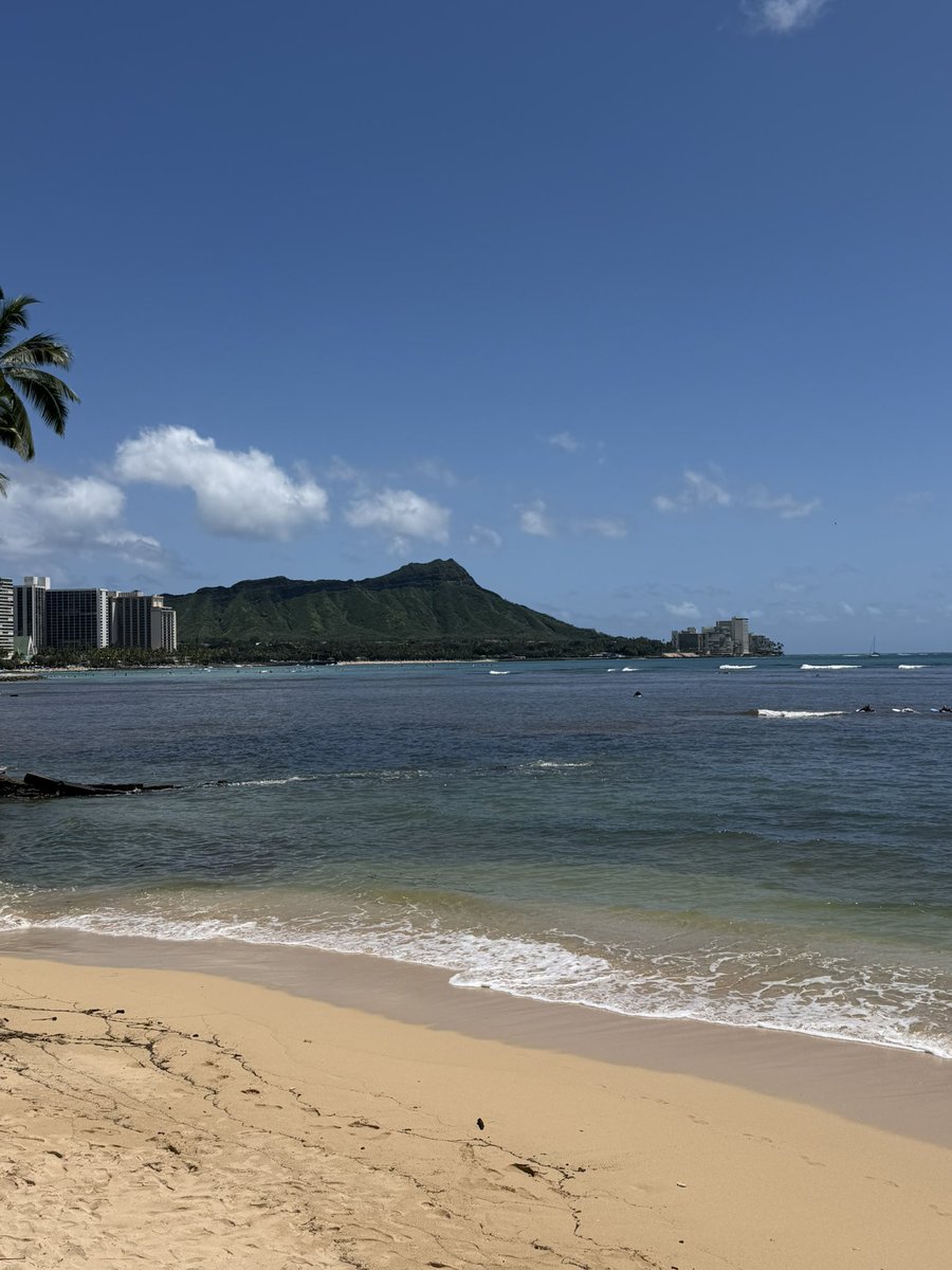 Jeremy Balan tweet media