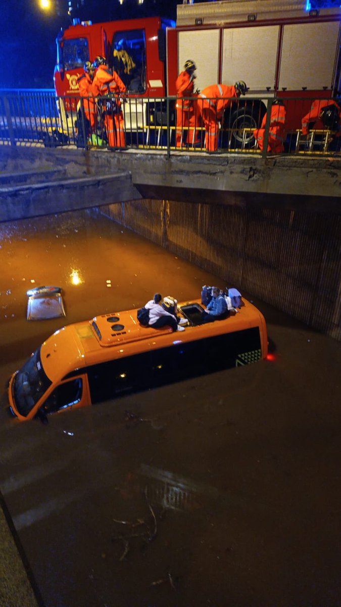 🌋Gofito🇮🇨 tweet media