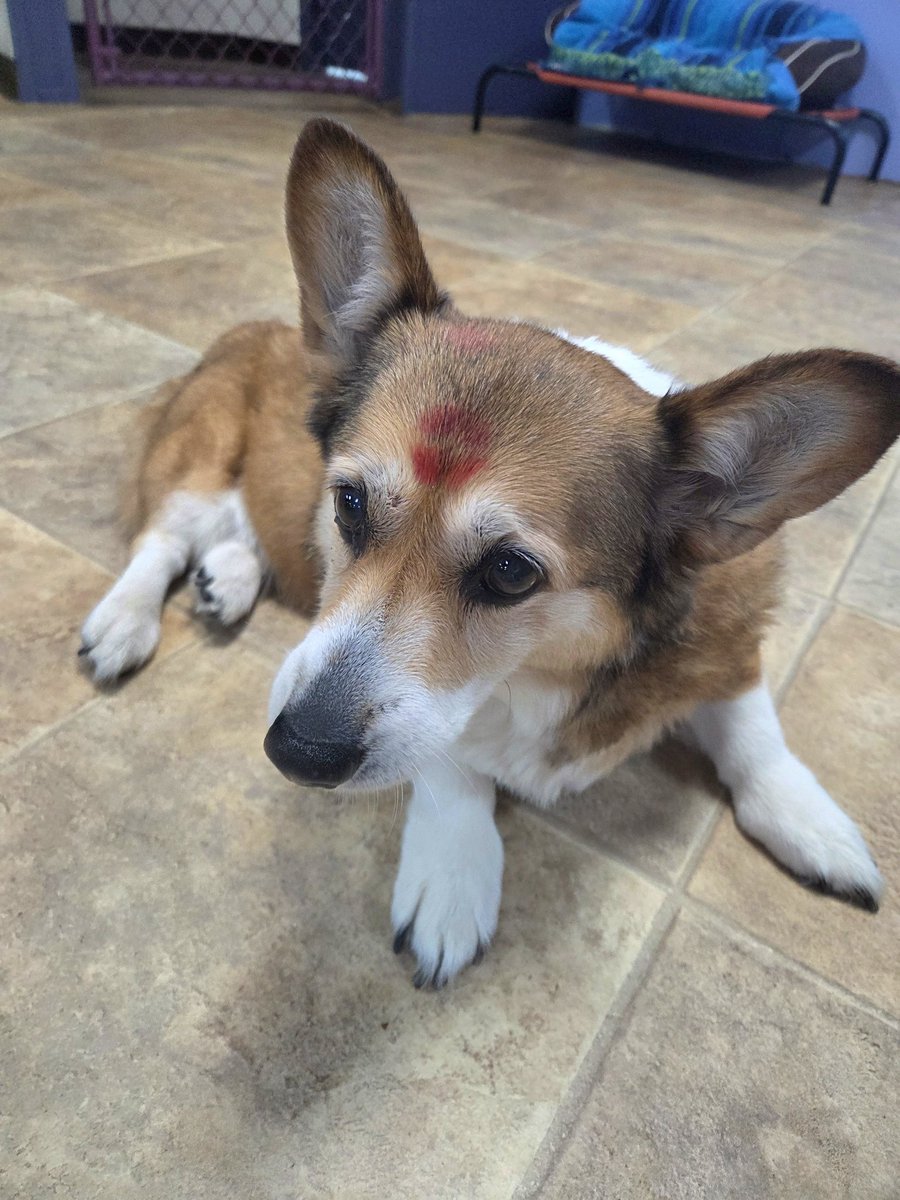 REY ⚰️🕊 spicy mermaid tweet media