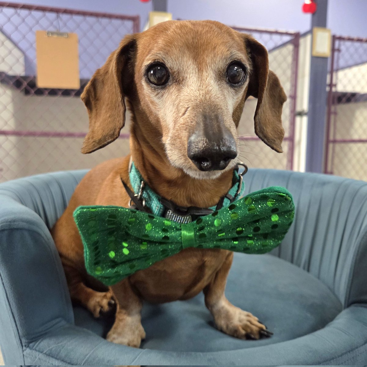 REY ⚰️🕊 spicy mermaid tweet media