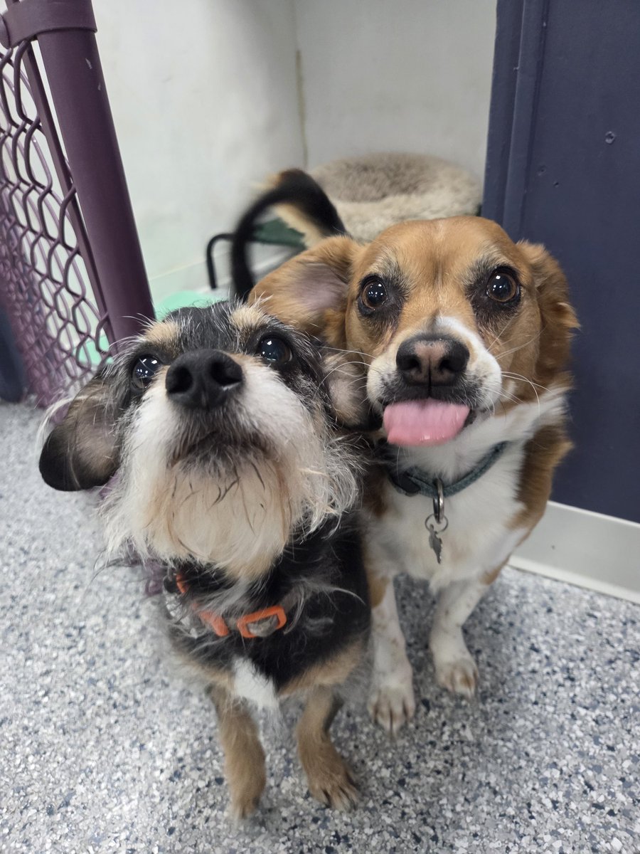 REY ⚰️🕊 spicy mermaid tweet media