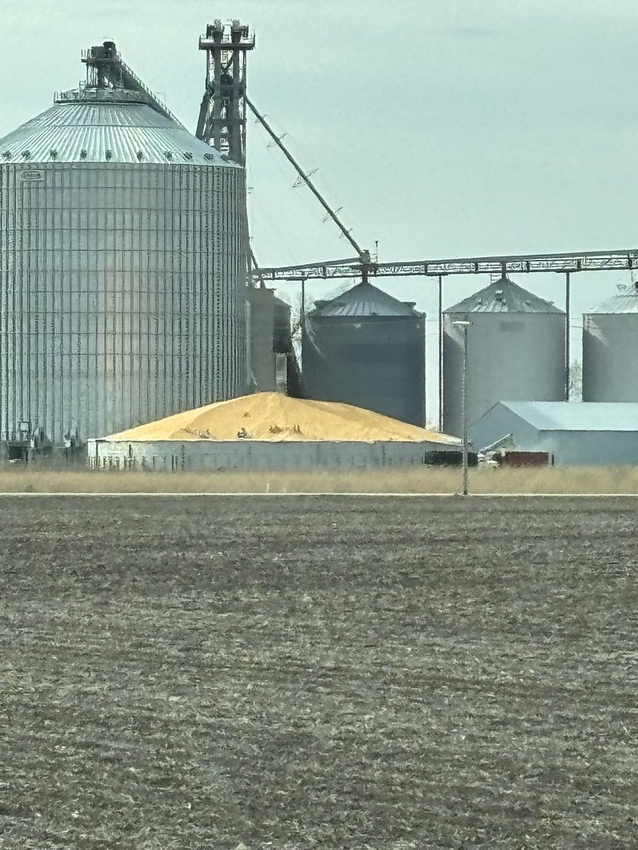 Bob Storm tweet media