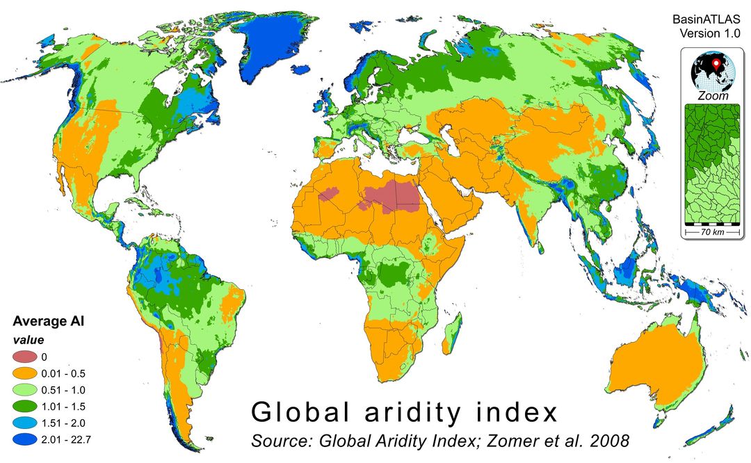 Nomad Taro tweet media
