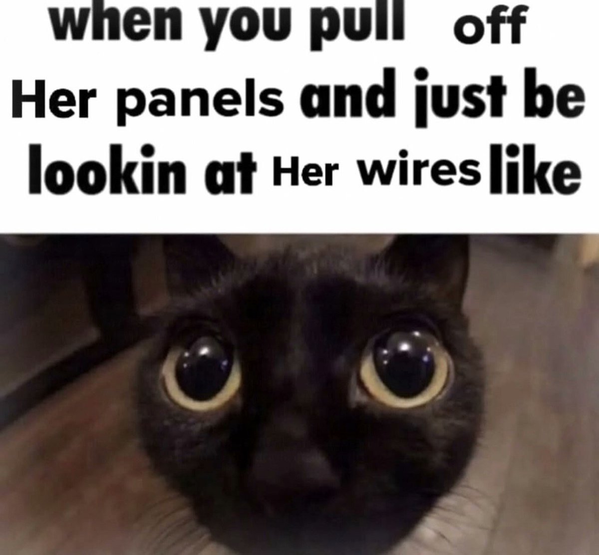 EmiSoul 💕 tweet media