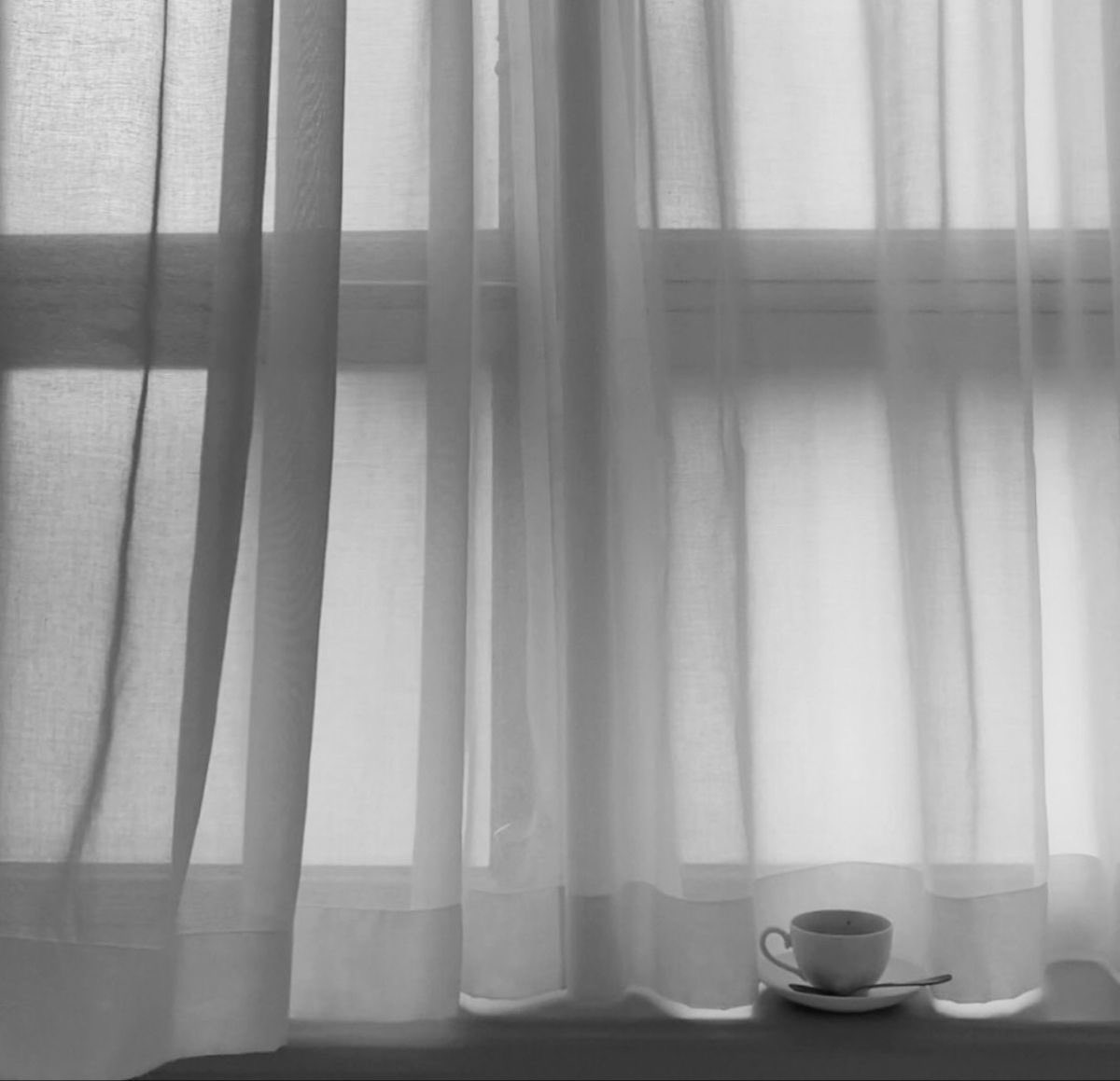 𝐰𝐢𝐧𝐧𝐢𝐞 ⋆˚꩜｡ tweet media