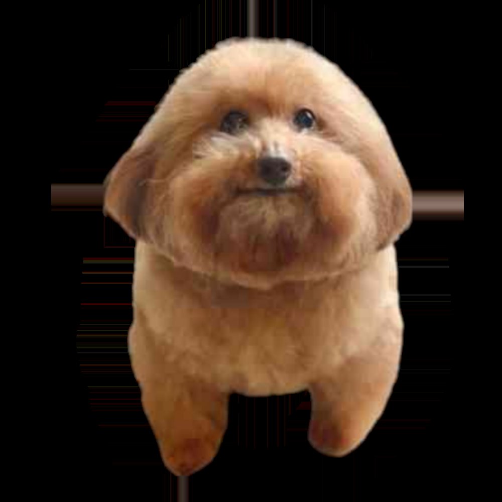 Arte Y Artistas tweet media