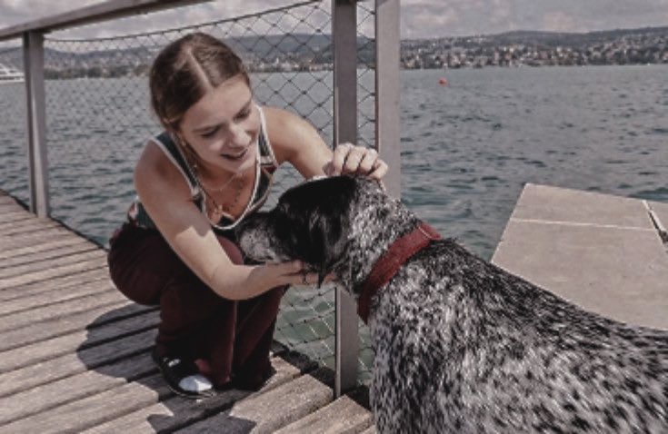  ⁎ 𝑠ℎ𝑎𝑟𝑚𝑎 , tweet media