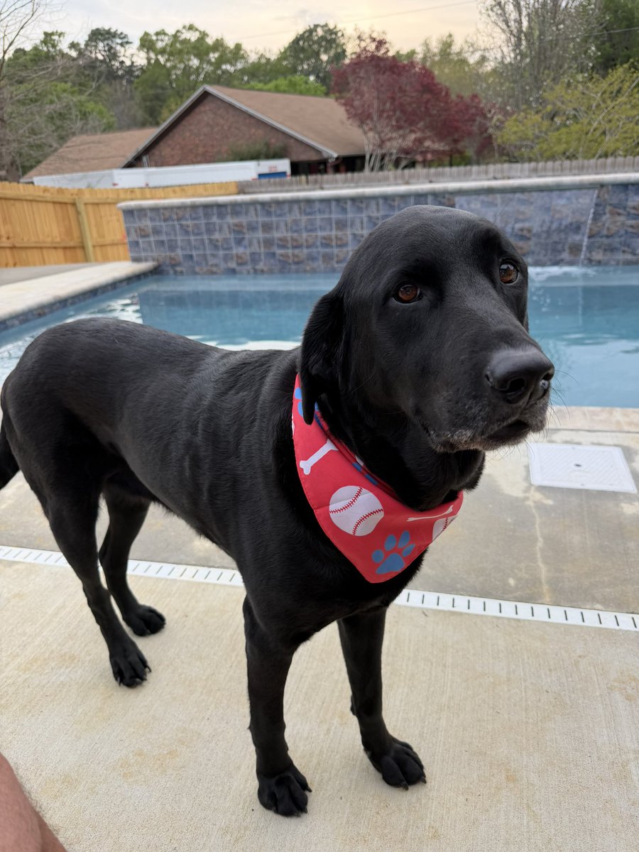 Mark Blanchard tweet media