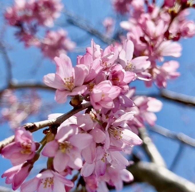 株式会社 加工技術研究会 tweet media