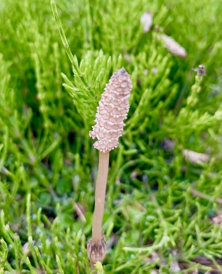 株式会社 加工技術研究会 tweet media