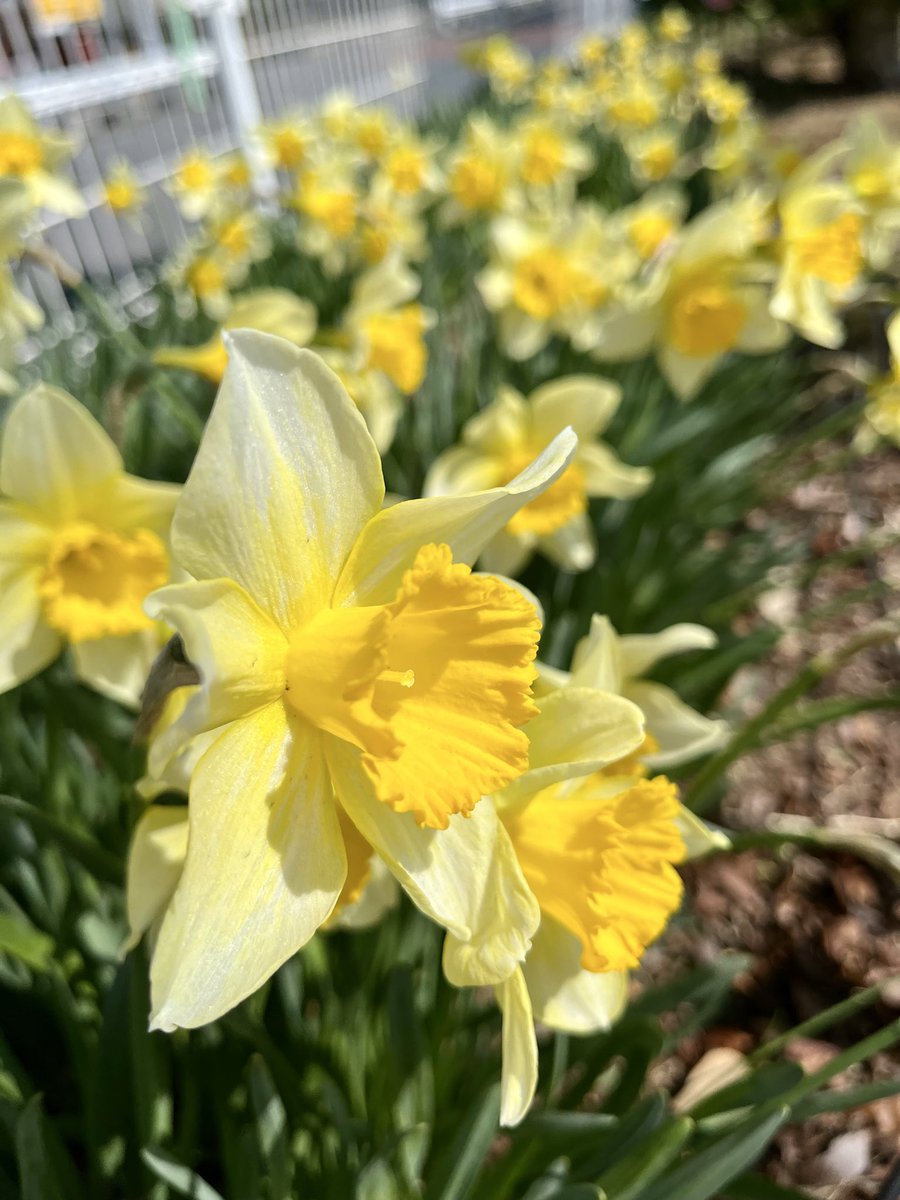 株式会社 加工技術研究会 tweet media