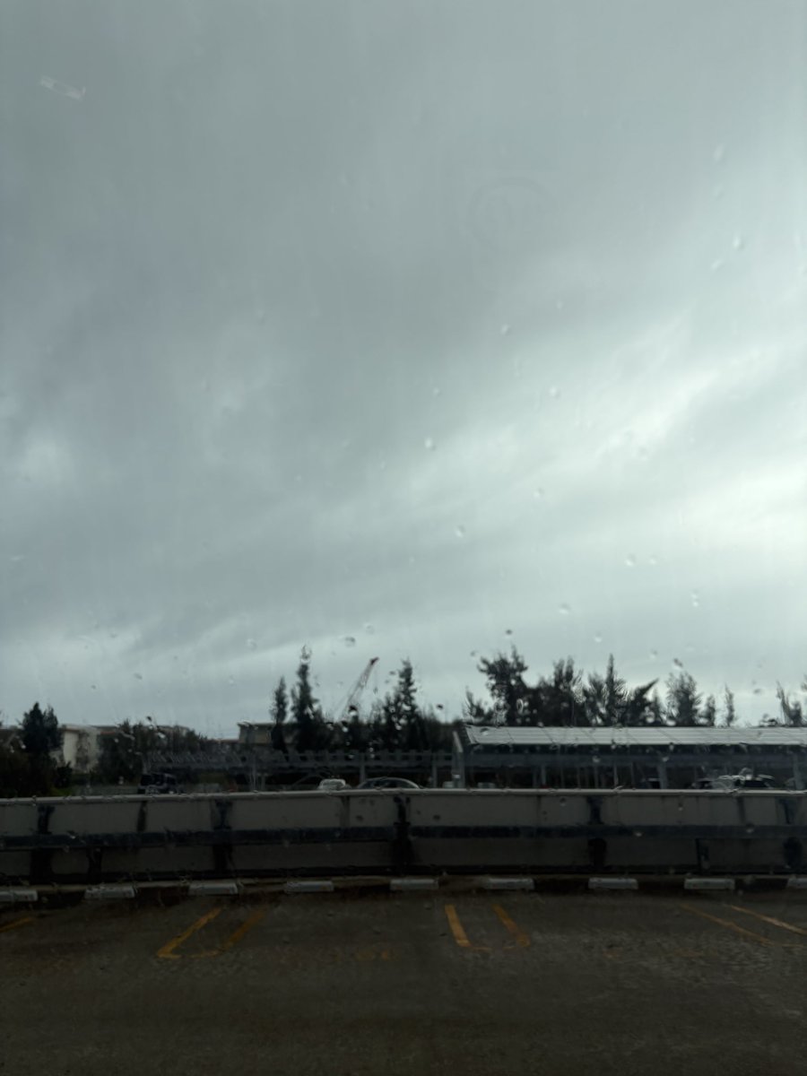 中島布美子🌺沖縄🌴企業のデジタルマーケティングの伴走支援🌏SNS📈ウェブ解析士 tweet media