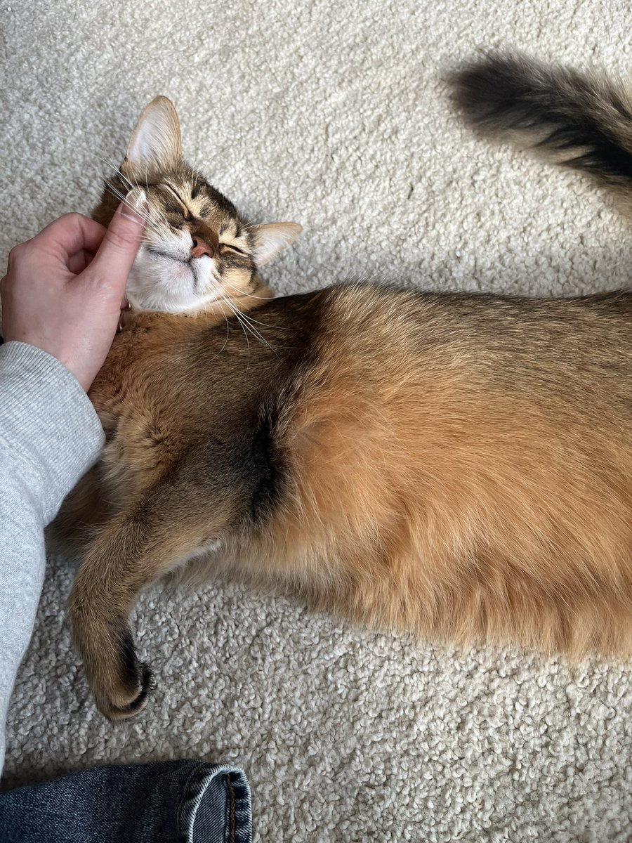 いずも tweet media