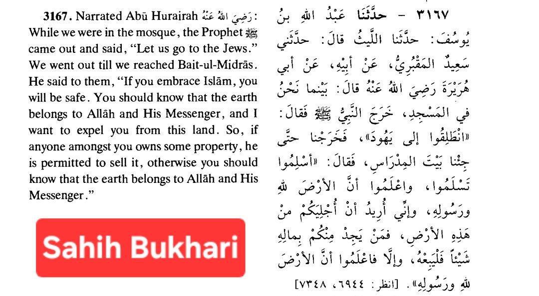 Wraithlogic tweet media