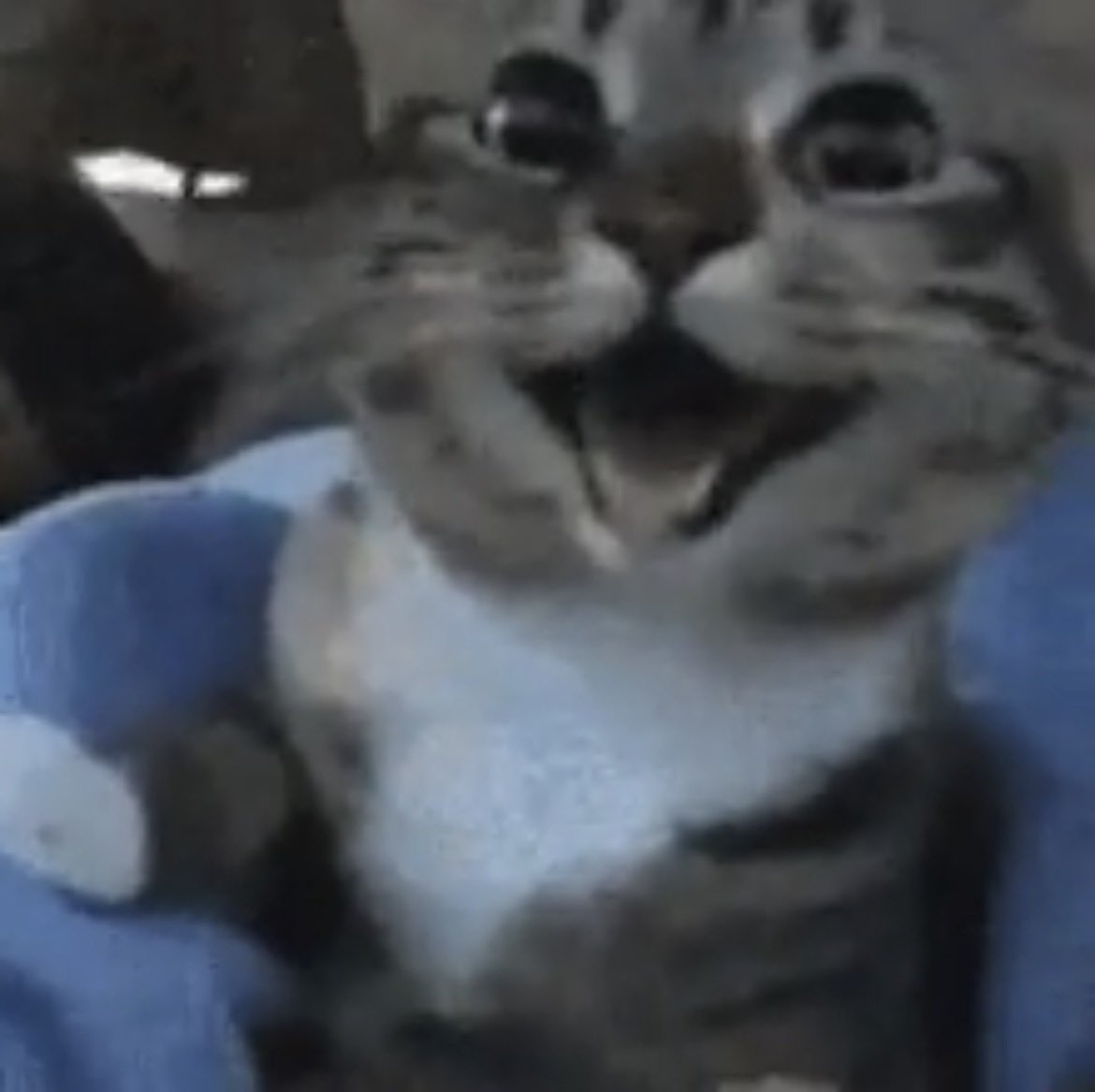 Ansi 🤍 tweet media