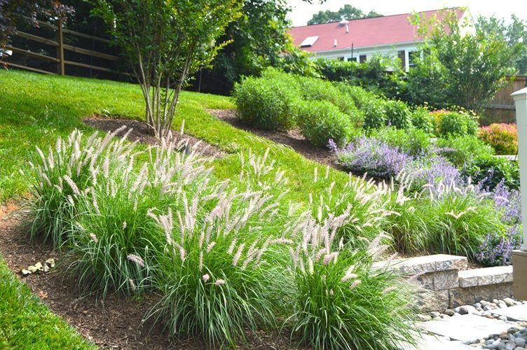 AllentuckLandscape tweet media