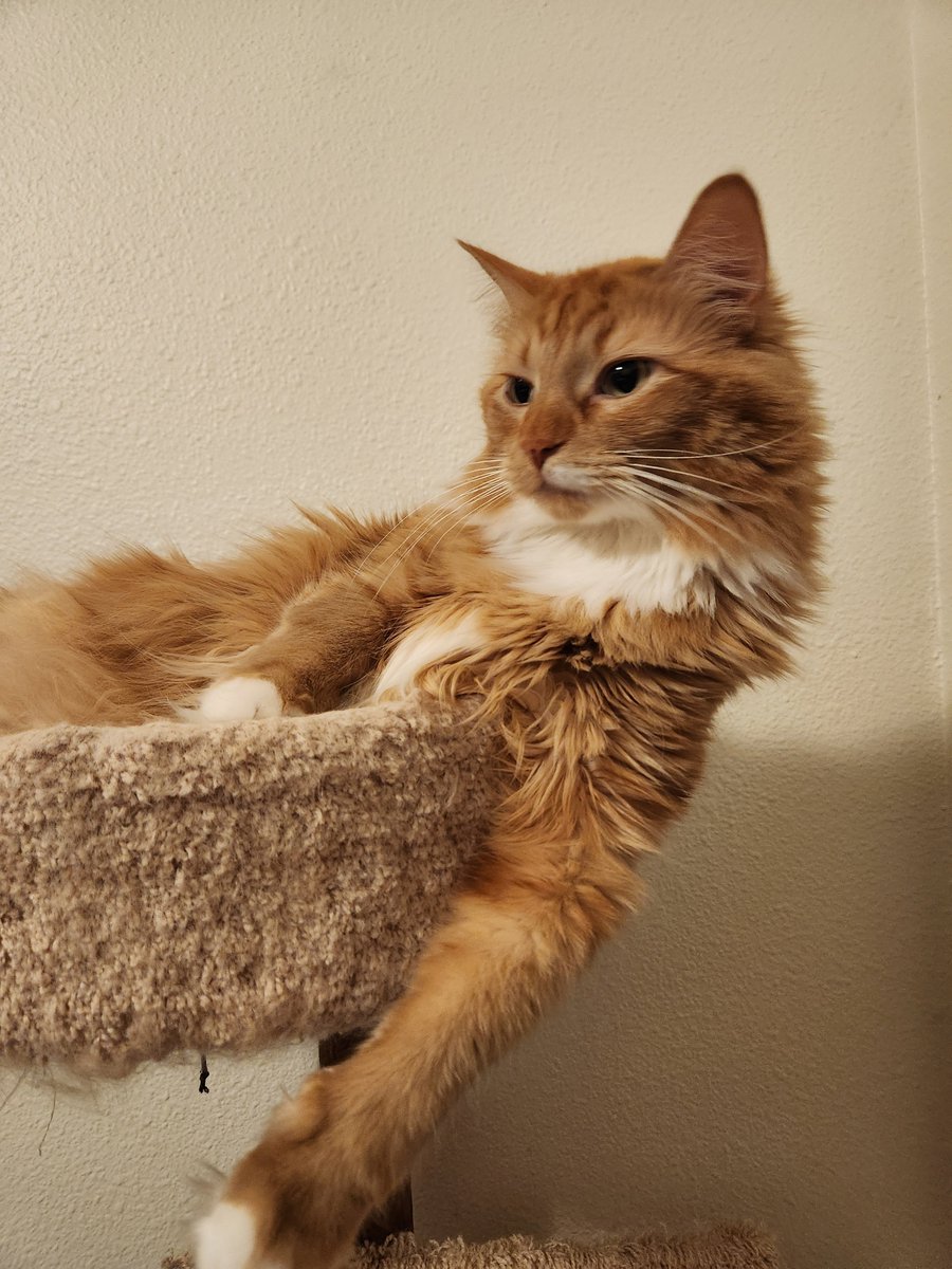 🔥Heat tweet media