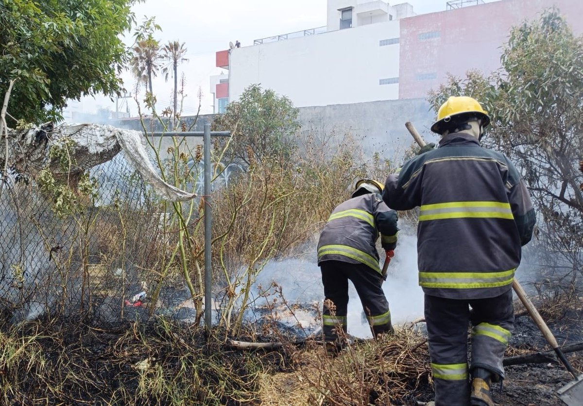 👨🏻‍🚒 || Un incendio de pastizal se registró en calle Reforma Sur en Puebla capital, el cual afectó cerca de 600 metros cuadrados. Elementos de <a href="/PCGobPue/">PC Estatal Puebla</a> atendieron la emergencia junto a Bomberos de la <a href="/SSPGobPue/">Secretaría de Seguridad Pública</a> y <a href="/SSC_Pue/">SSC Puebla</a>. 

El lugar quedó fuera de peligro para la población. ✅