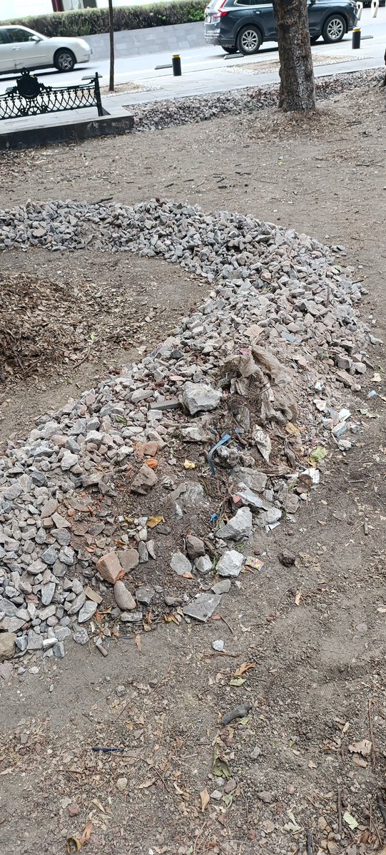 Mona Ortiz 🇵🇸 tweet media