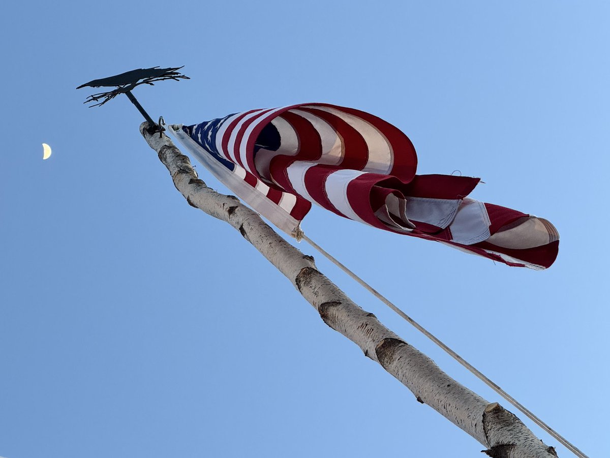 Tim Kelley tweet media