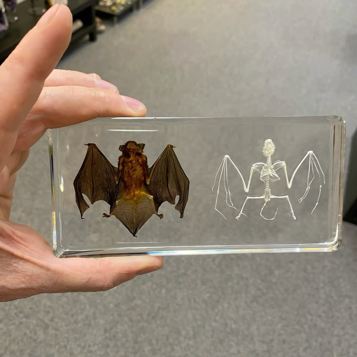 PmAmTraveller tweet media