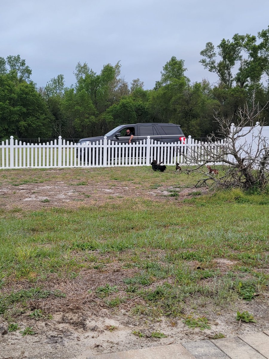 Sassafrass84 tweet media