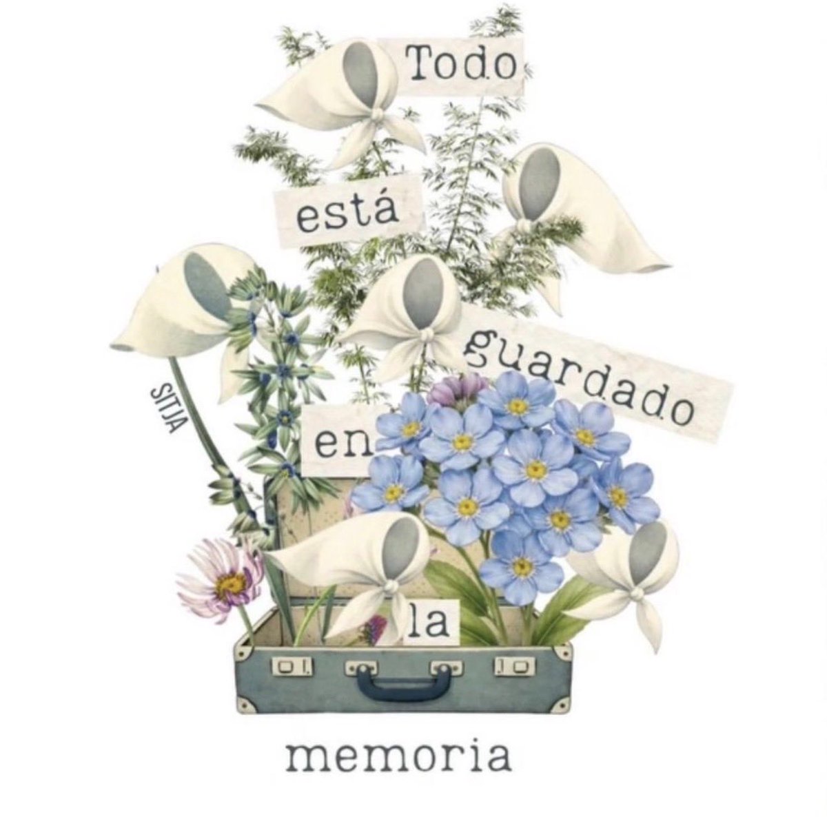 Martin Galmarini ✌️🐯 tweet media