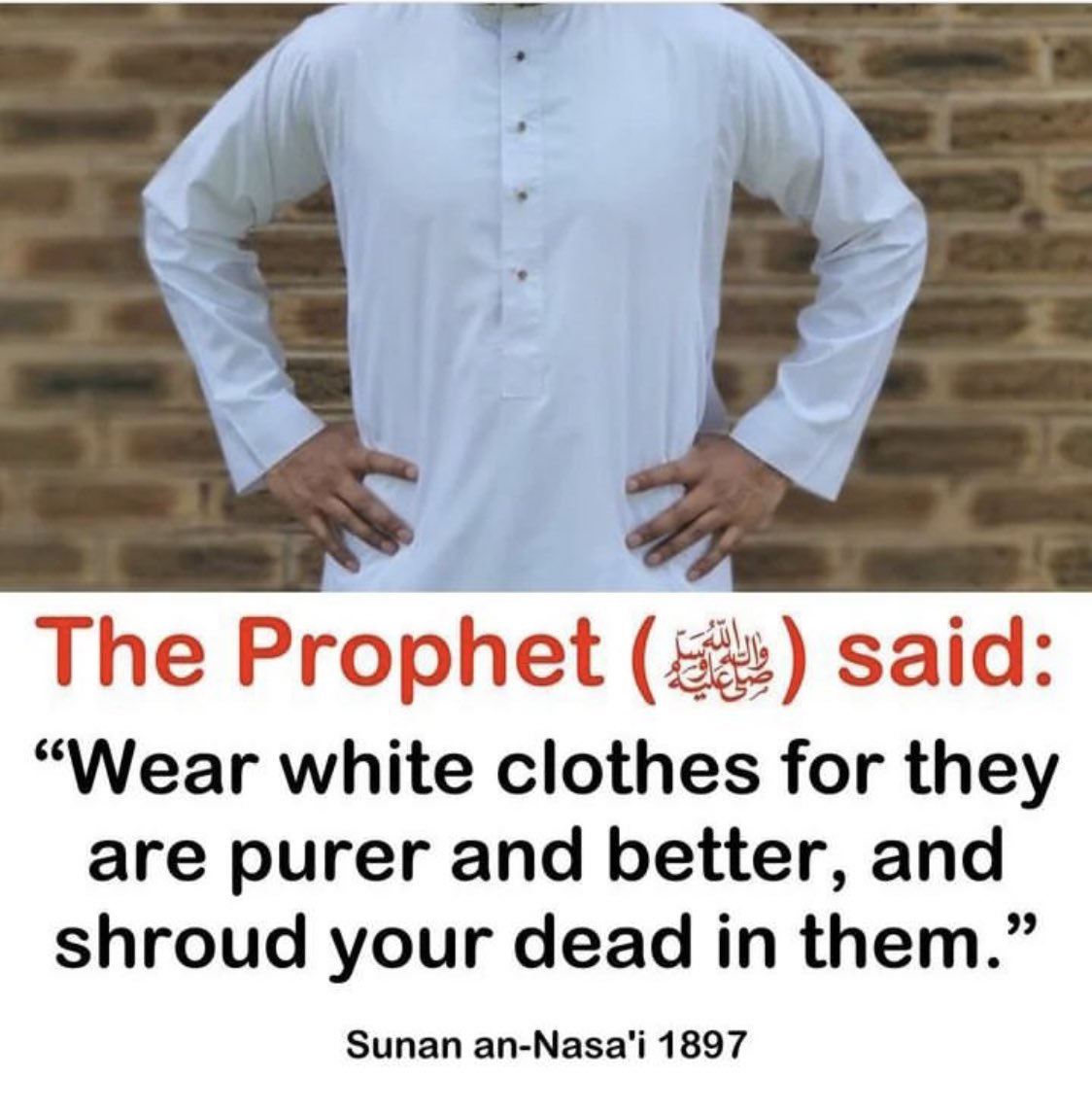 𝐀𝐥-𝐐𝐮𝐫𝐚𝐧 || القرآن tweet media