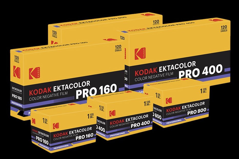 hamashun tweet media