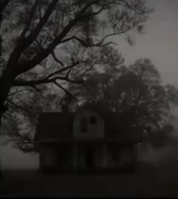 Jakeline Wiliane tweet media