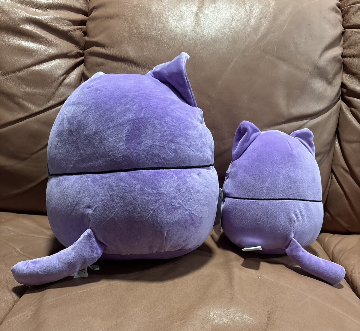 OctoOlive tweet media