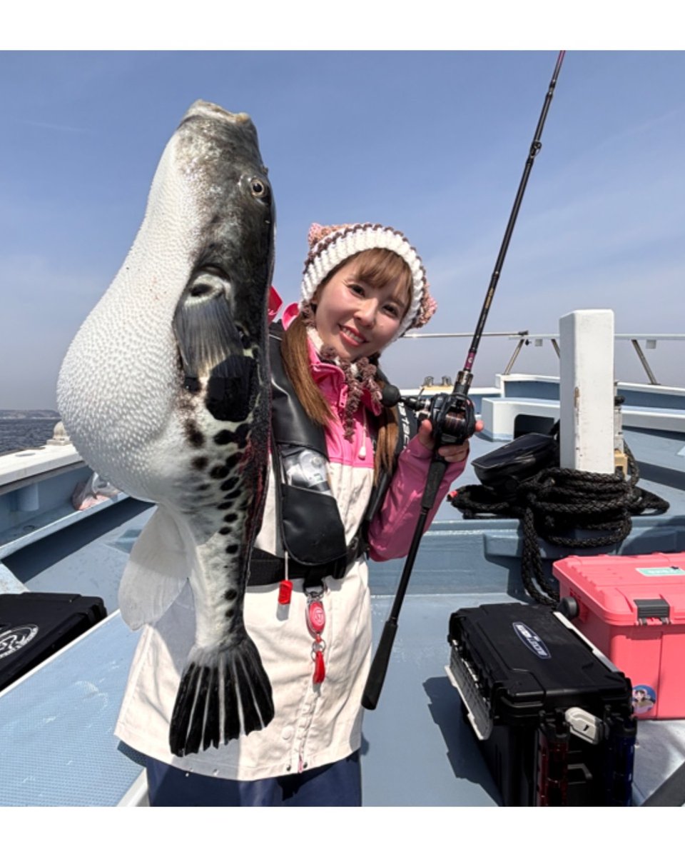 【公式】アルファタックル(alphatackle)｜船釣りなどなど⛴ tweet media