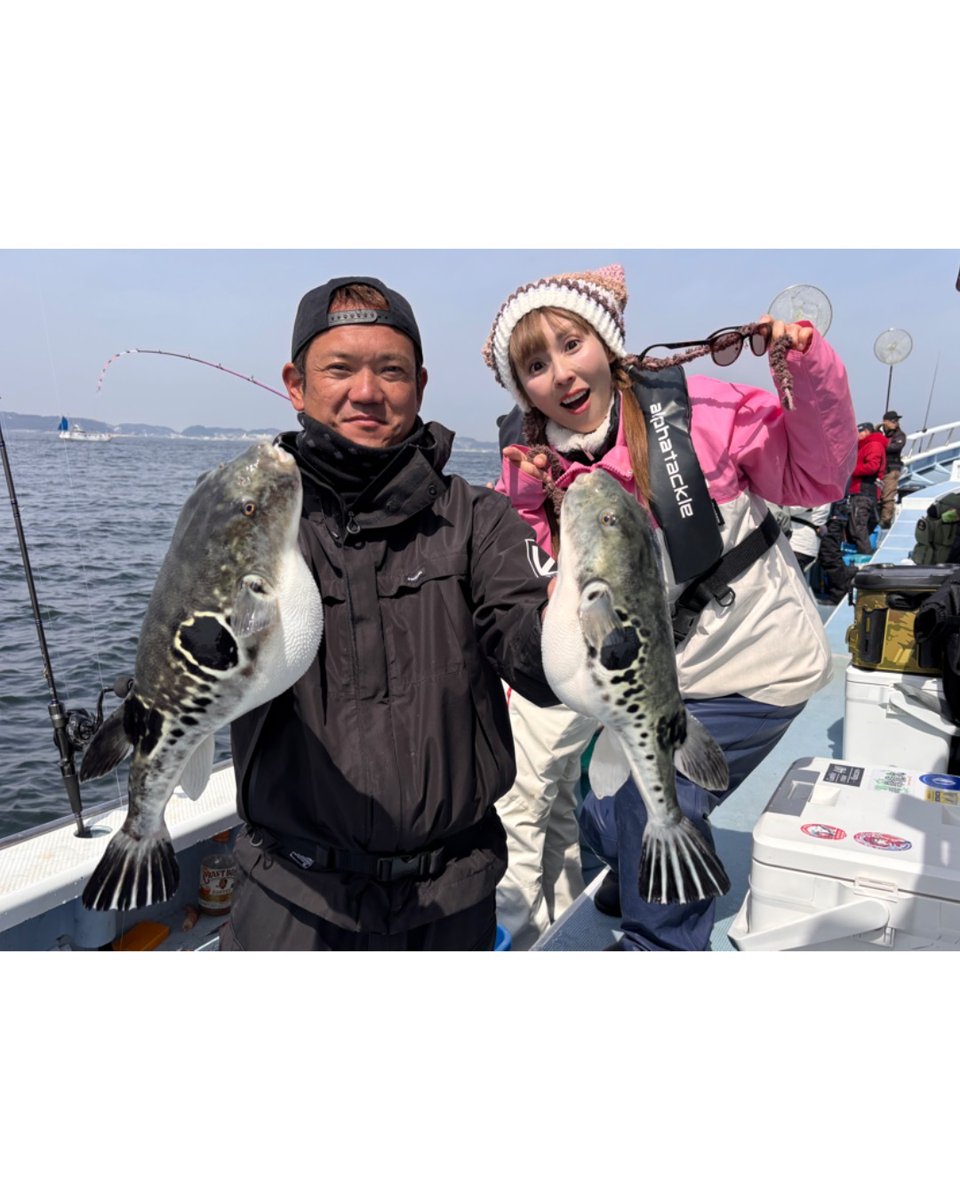 【公式】アルファタックル(alphatackle)｜船釣りなどなど⛴ tweet media