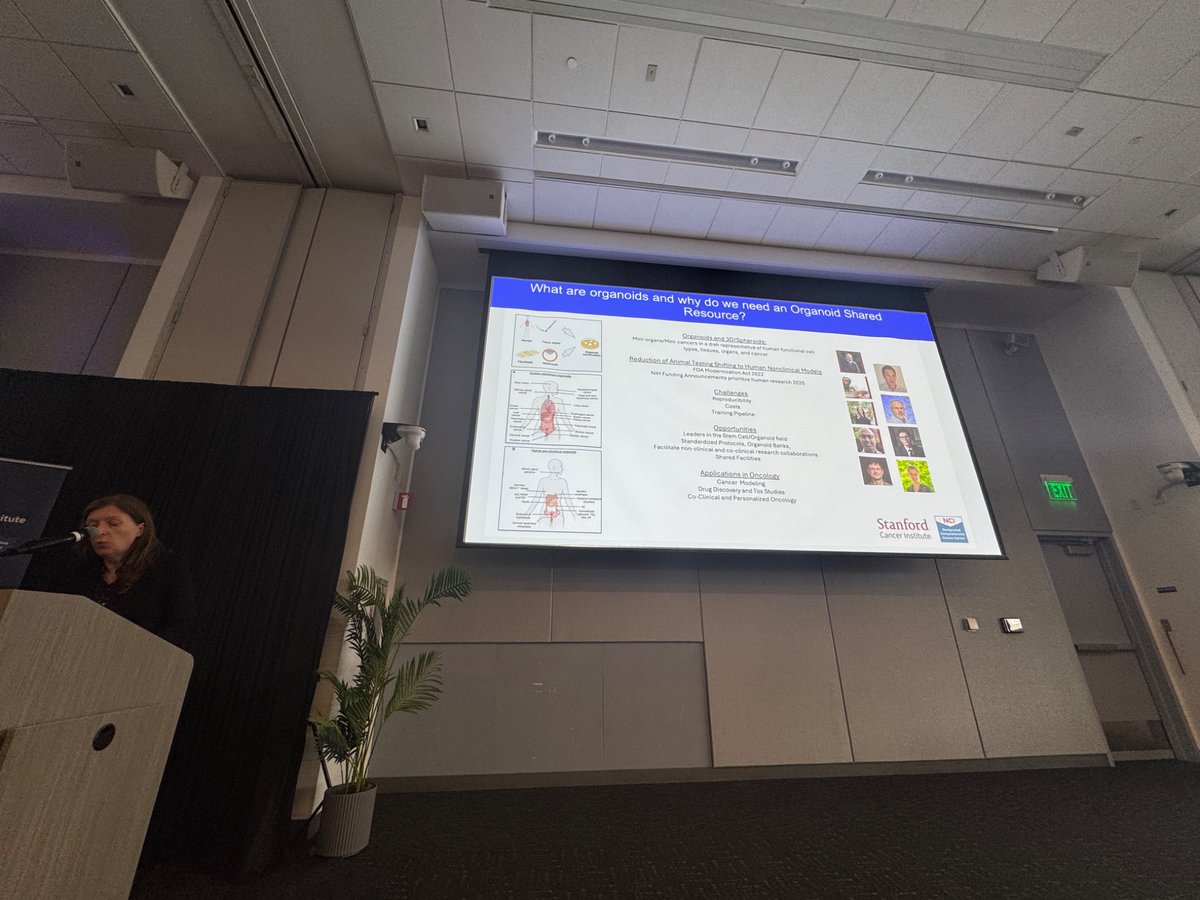 Pauline Funchain tweet media