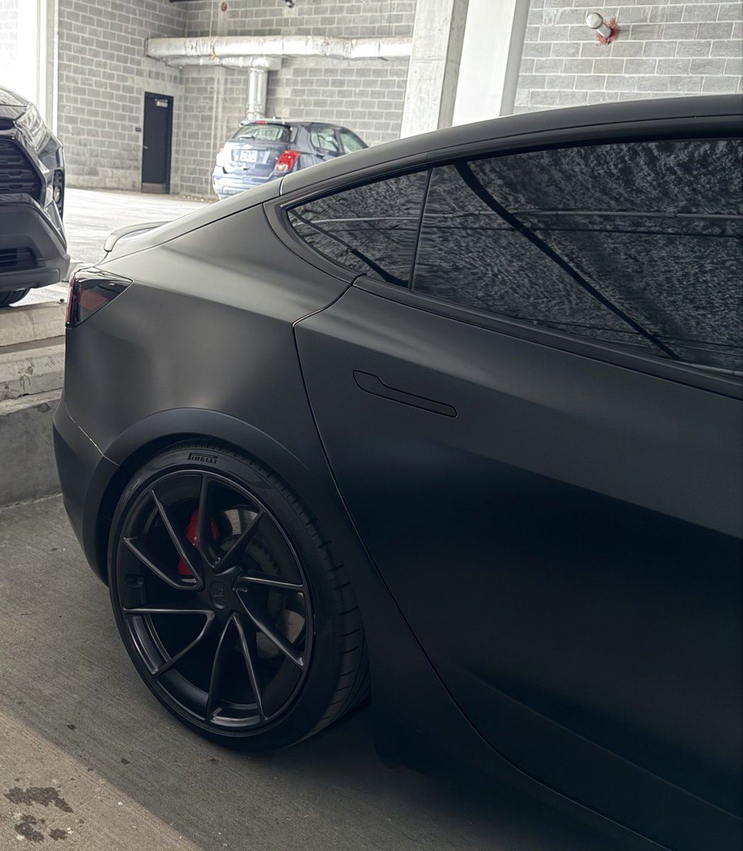 Nic Cruz Patane tweet media