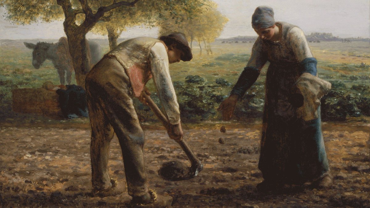 Robbert Leusink tweet media