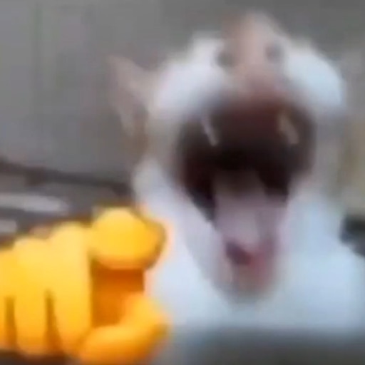 TheRealDeclou tweet media