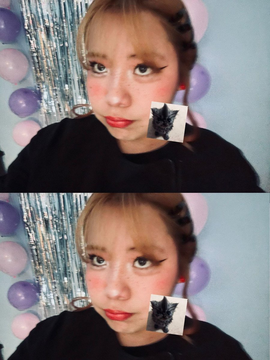 Mazapán. 🐣 tweet media