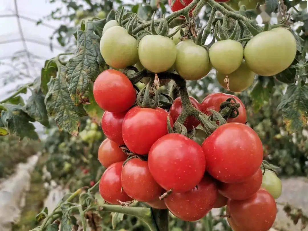 Hussein  Ndali tweet media