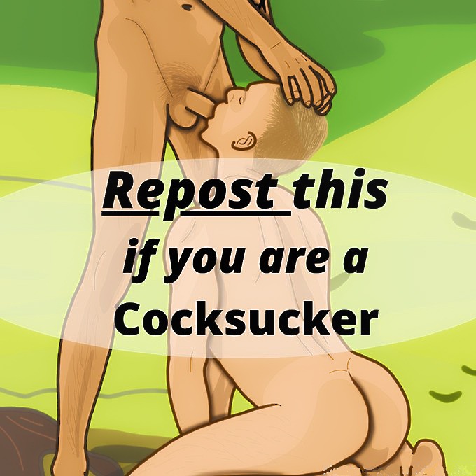 The Gay Guide🍆 tweet media