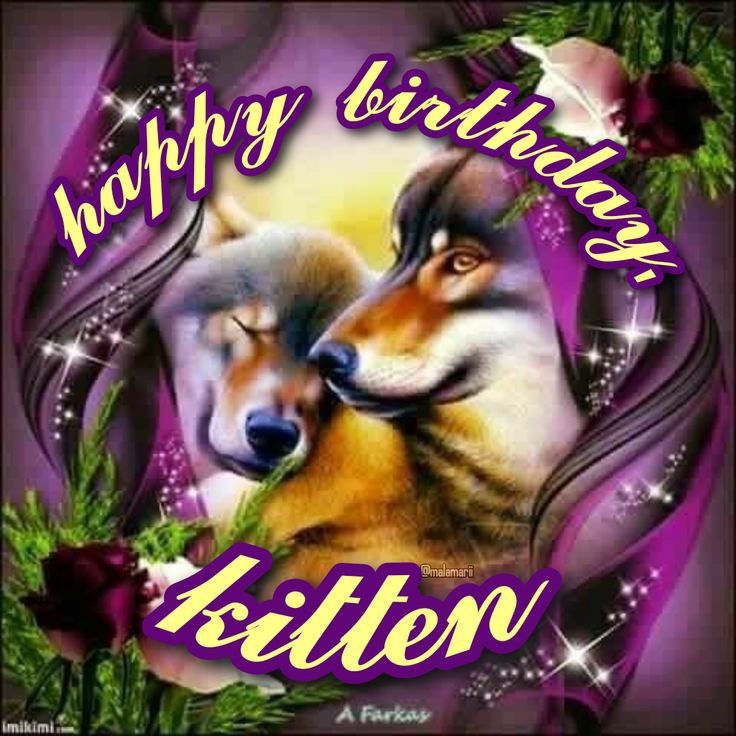 CE 🍃 CARLOS FAN ACCOUNT ¡! tweet media