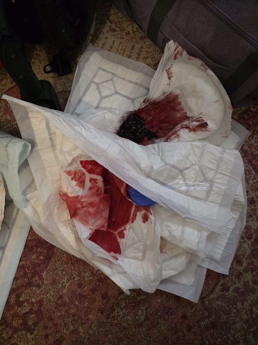 🦕♿🦖 tweet media