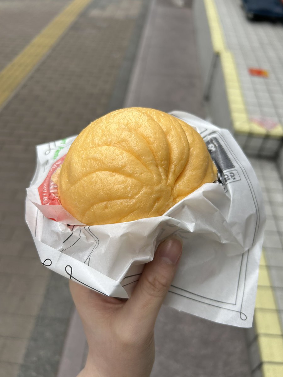 平地のハムスター2 tweet media